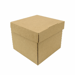 Burger box, Menubox