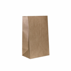 22x12x31  Paper bag without handles